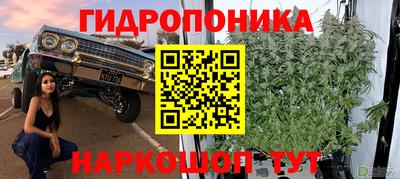 дурь Кунгур