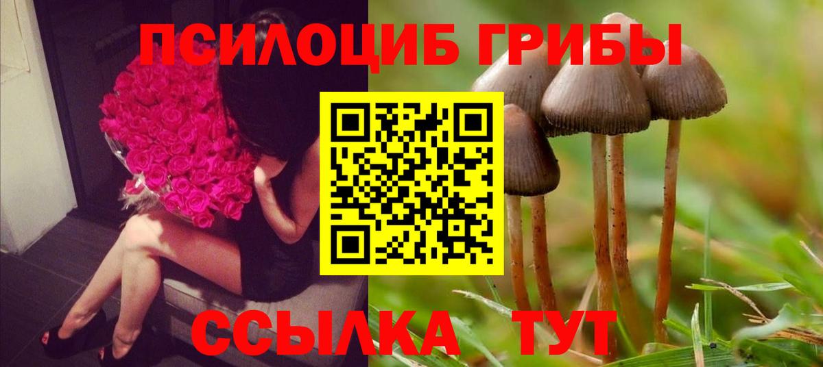 Псилоцибиновые грибы MAGIC MUSHROOMS Тихорецк