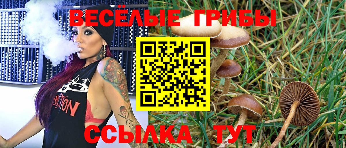 Галлюциногенные грибы мицелий  Галлюциногенные грибы Magic Shrooms  Тихорецк  Вход с VPN 
